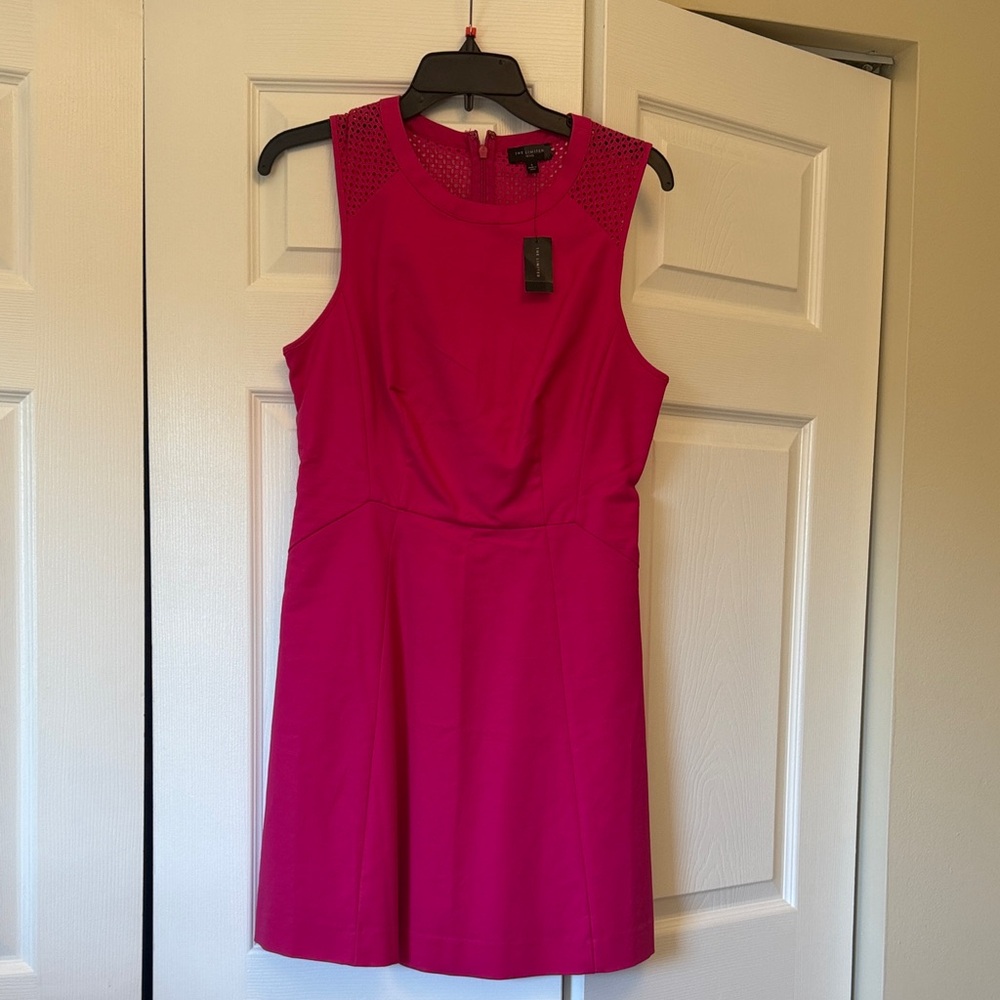 The Limited Fuchsia Sleeveless Mini Dress